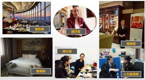 酒店管理专业中的餐饮管理 艺术与科学的融合